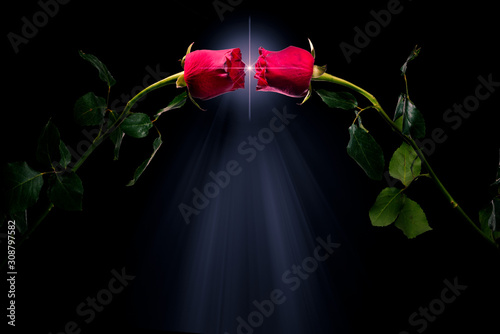Two red roses with green leafs are looking at each other on the black background. White star and light are between roses. Happy Valentine's Day.