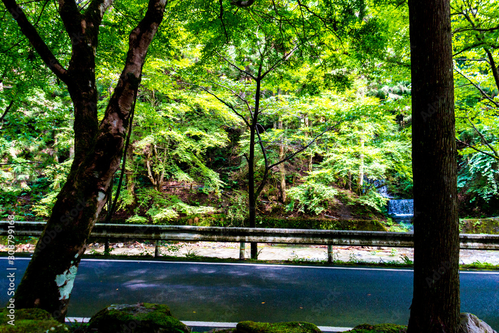 Approach to Okumiya of Kifune Shrine. Sakyo-ku, Kyoto, Japan