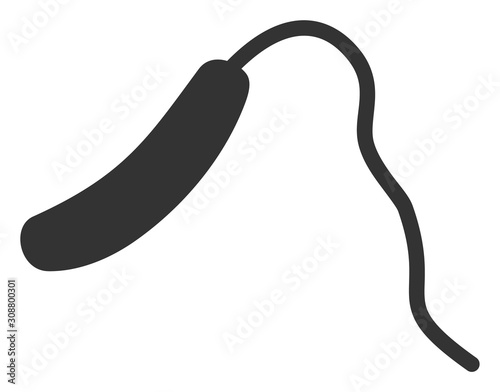 Vibrio cholerae vector icon. Flat Vibrio cholerae symbol is isolated on a white background.
