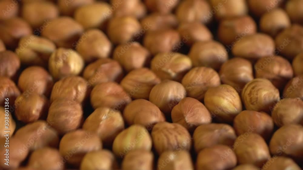 Нazelnut close up. product rich in minerals and vitamins. Нazelnut turns in a shot. Hazelnut kernels rotating. Hazelnut close up lies under beams of the sun. Macro Нazelnut close up. product rich in minerals and vitamins. Нazelnut turns in a shot. Hazelnut kernels rotating. Hazelnut close up lies under beams of the sun. Macro