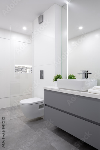 Elegant gray and white bathroom