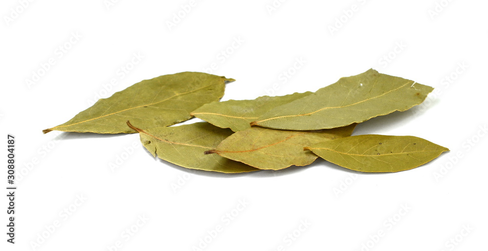 Bay leaves on white background. Spice aromatic. Bay leaves on white background. Spice aromatic.
