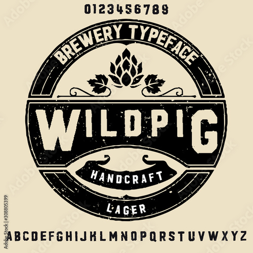 " beer " typeface. Vector hand crafted font in medieval style with hops. Good for posters, alcohol label and festival invitation.Letters and numbers.Vector illustration.