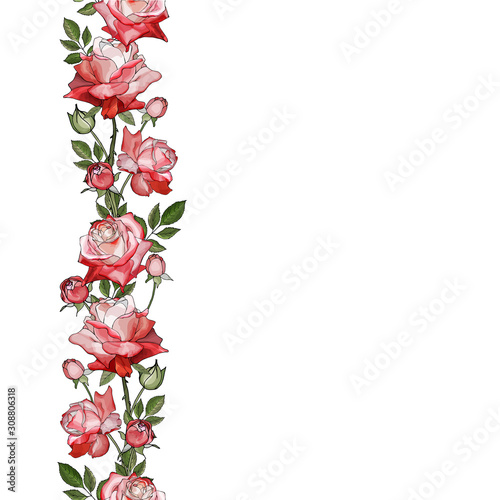 Floral vertical border with flowers pink red rose and green leaves on white. Hand drawn. For your design, greeting cards, wedding invitation. Copy space. Vector stock illustration.