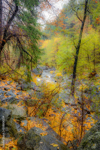 Fall for Planet Sedona