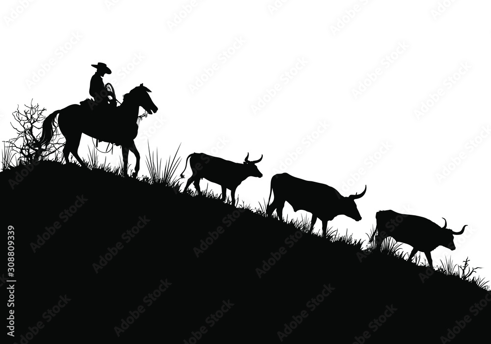 A vector silhouette of a working ranch cowboy herding texas longhorn cows down a hill. - obrazy, fototapety, plakaty 