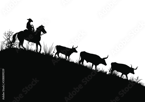 A vector silhouette of a working ranch cowboy herding texas longhorn cows down a hill.