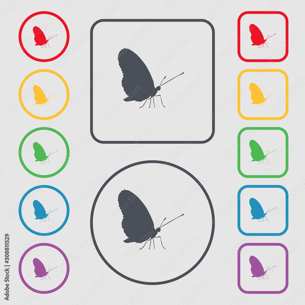 butterfly icon sign. symbol on the Round and square buttons with frame.  Stock Illustration | Adobe Stock