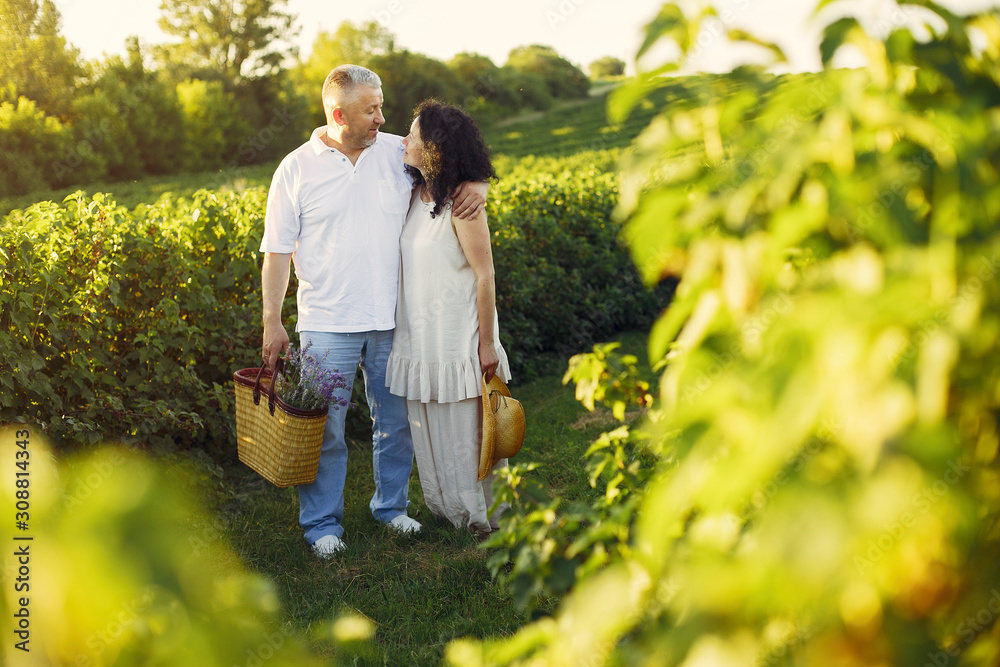 Aduld couple in a summer field. Handsome senior in a white shirt. Woman in a white dress Aduld couple in a summer field. Handsome senior in a white shirt. Woman in a white dress