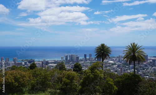 Palm trees in a park in the mountains look down over the beautiful city of Honolulu, Hawaii with the ocean meeting the sky in the distance.