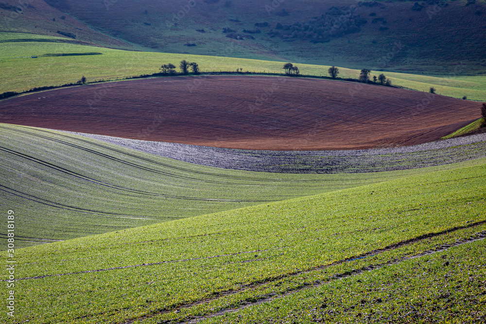 A full frame farm landscape of the South Downs, on a sunny winters day
