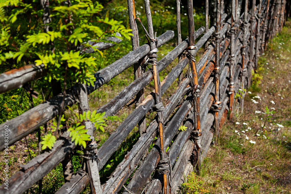 Fototapeta premium an old-fashioned fence from Vasterbotten made of fists and long wooden sticks