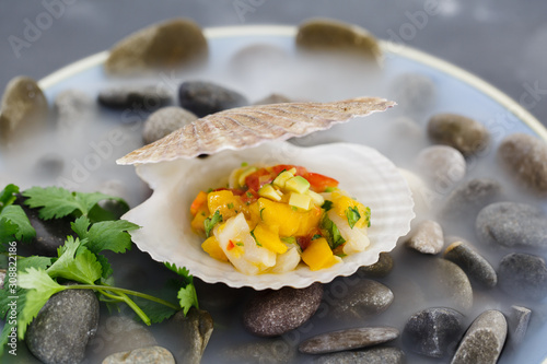 Scallop tartare with mango and cherry tomatoes, served in a plate on stones with dry ice. © popovich22