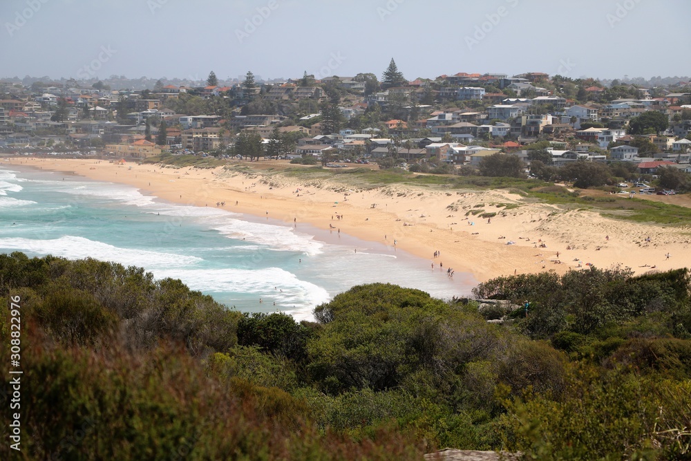 Dee Why Beach, Sydney Australia