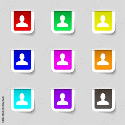 User, Person, Log in icon sign. Set of multicolored modern labels for your design. 