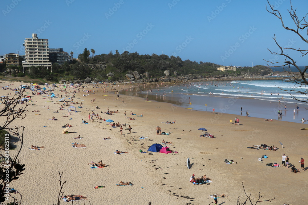 Manly Beach in Sydney, New South Wales Australia Manly Beach in Sydney, New South Wales Australia