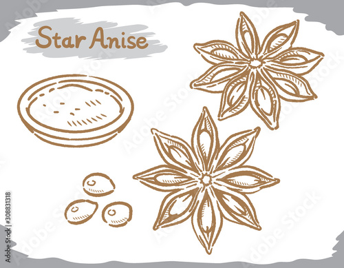 Star anise isolated on white.