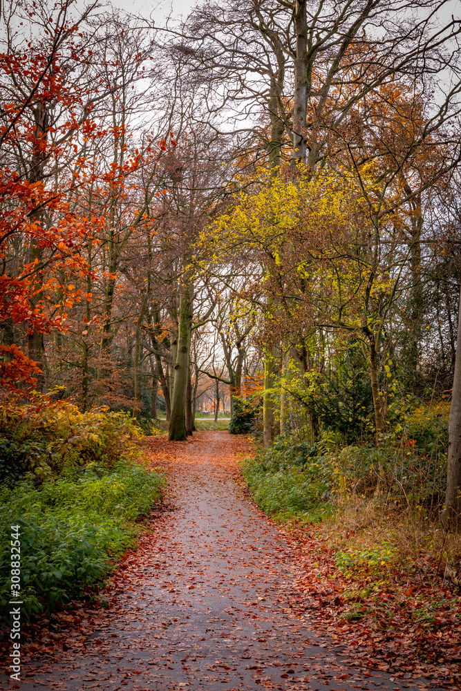 Naklejka premium beautiful colors of park in autumn fall season portrait orientation