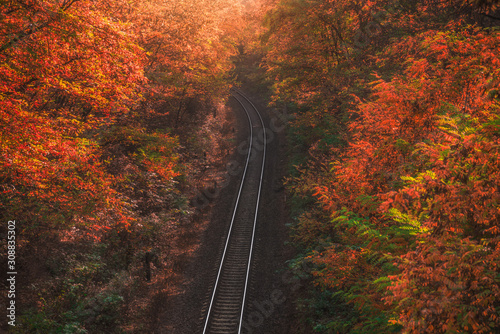 High Angle View of Empty Railway in Autumn Forest with Colorful Trees