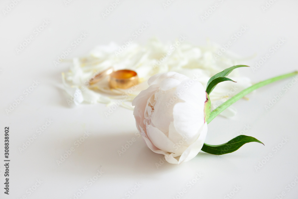 Wedding background. White peony, peony petals and gold wedding rings. Event. Selective focus Wedding background. White peony, peony petals and gold wedding rings. Event. Selective focus