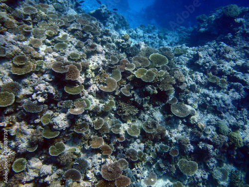 Coral reefs in atoll, Kayangel state, Palau, Pacific