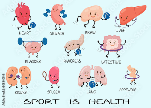 19.10.11 human organs