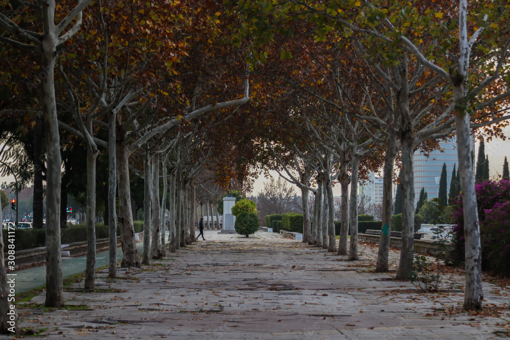 Fototapeta premium Empty promenade with red leaves during autumn