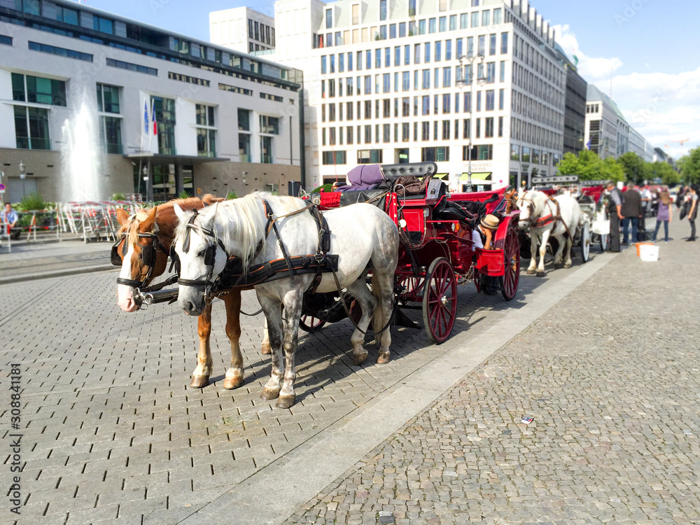 Beautiful view of horses with carriages in Berlin, Germany.