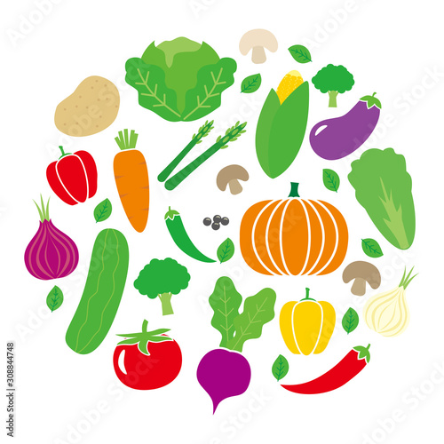 Vegetables vector illustration with flat colorful design in round isolated on white background. Fresh and organic vegetable vector 