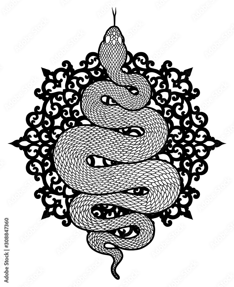 Obraz premium Coiled snake detailed illustration