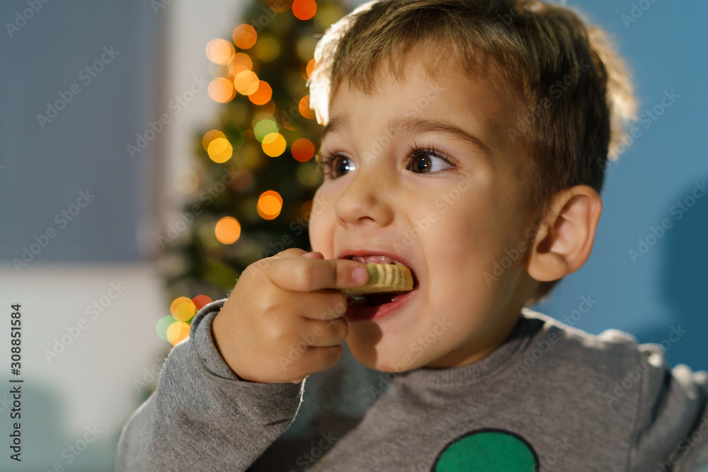 Portrait of one small caucasian cute boy three years old eating sweet cookie candy in front of the christmas tree at home Portrait of one small caucasian cute boy three years old eating sweet cookie candy in front of the christmas tree at home