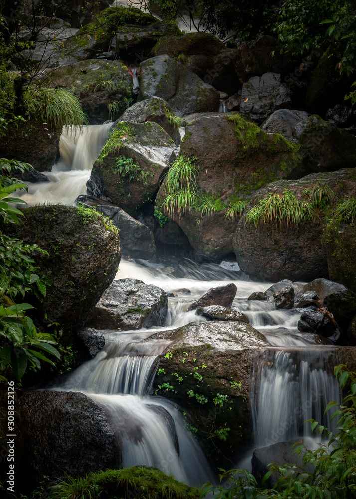 Portrait a waterfall in an Indian forest during the peak monsoon season Portrait a waterfall in an Indian forest during the peak monsoon season