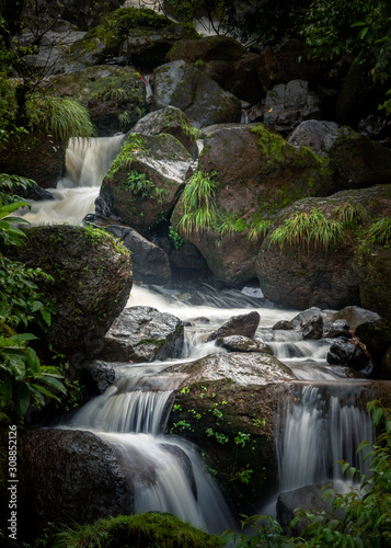 Portrait a waterfall in an Indian forest during the peak monsoon season