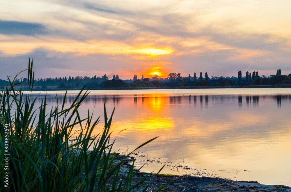 Obraz premium riverbank at sunset