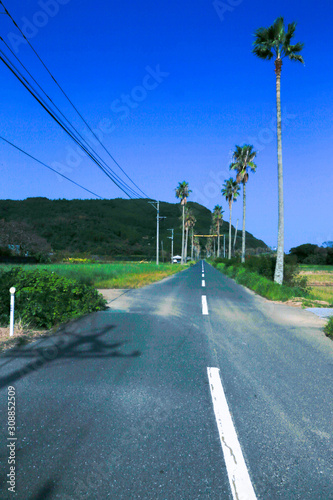 まっすぐな道　Straight road