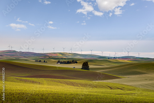 Rolling Wheat fields in Palouse with wind turbines in the distance