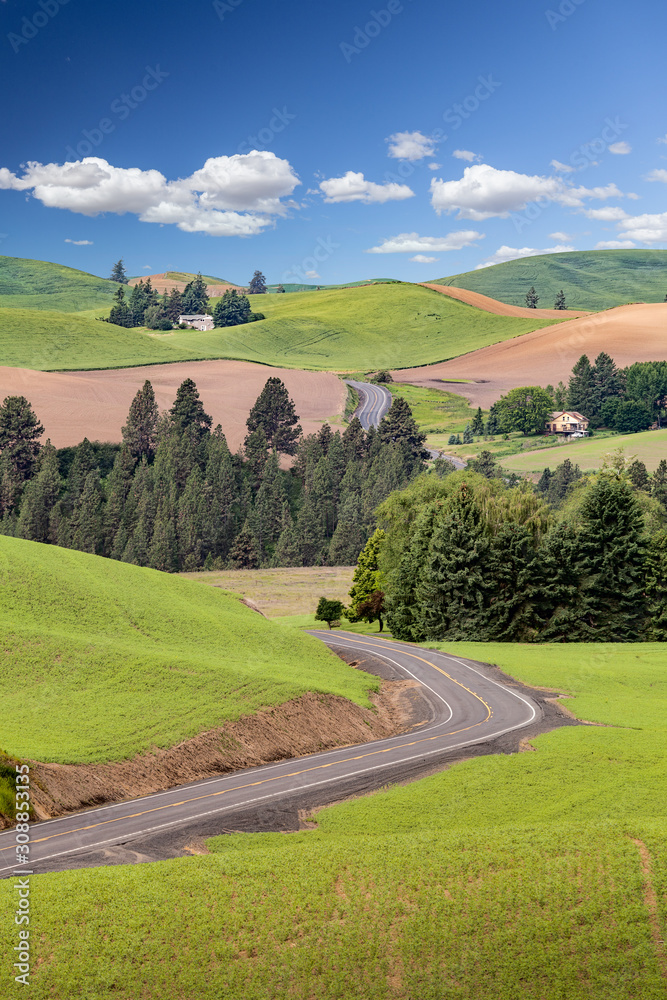 A highway cuts through farms among the rolling hills of Palouse in Washington state, USA