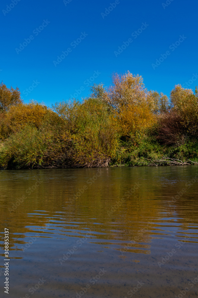 Autumn landscape with river Raba trees and blue sky.