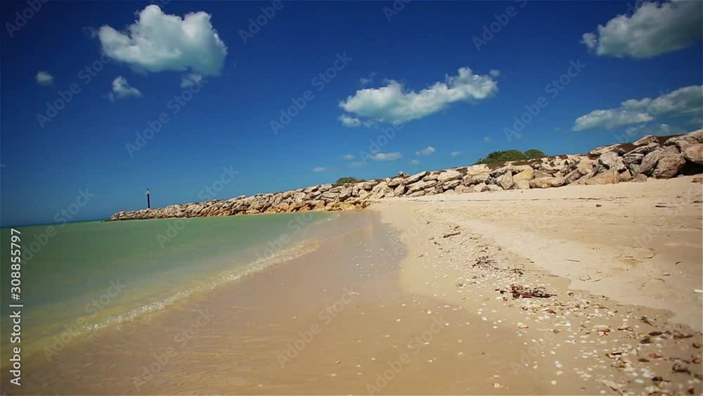 Beach landscape