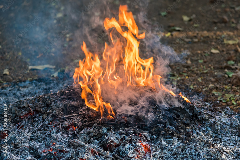 Flame-burning pile of dry autumn leaves and their ashes. Flame-burning pile of dry autumn leaves and their ashes.