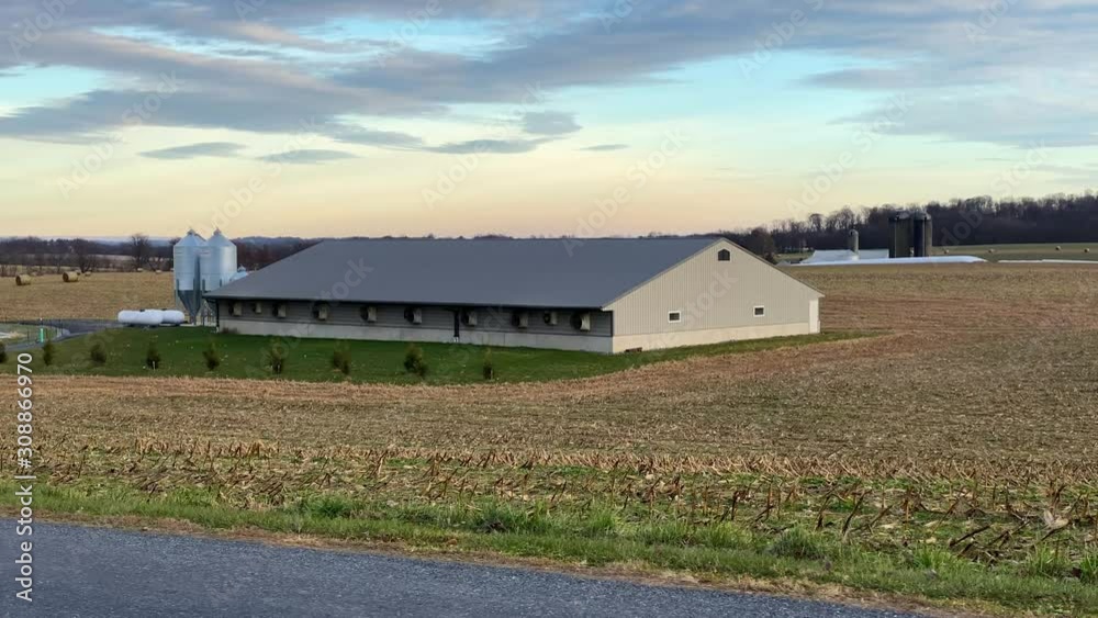 Wide angle shot of new pig barn with exhaust fans, hog-raising facility, grain bins, under dramatic sky