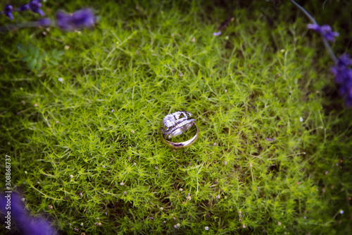 Wedding rign on bed of moss photo