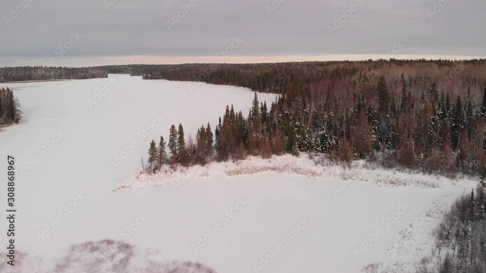 Drone flying close to the treetops in winter scene of deciduous and evergreen tress in a boreal forest following the shoreline of a large frozen lake.  Low hanging clouds create a moody scene.