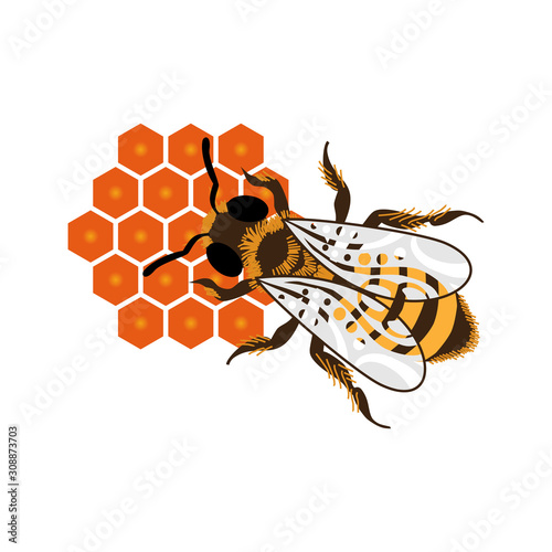 Honey Bee logo vector
