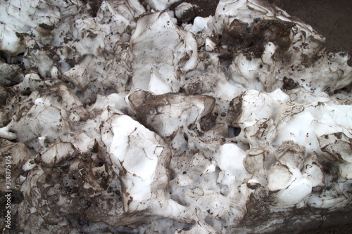 Melting pieces of contaminated snow
