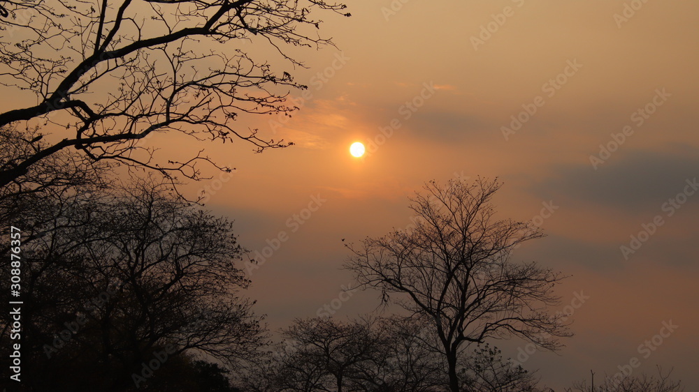 Fototapeta premium atardecer en el campo