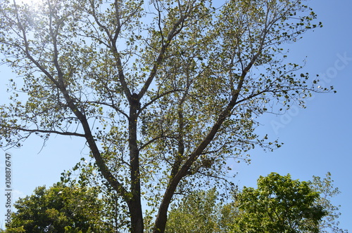 Photos 1-2-3