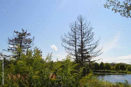 Photos 1-2-3