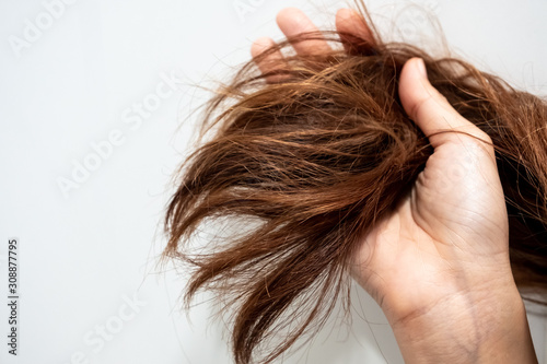 Close up hand holding dry damaged hair problem in white bathroom
