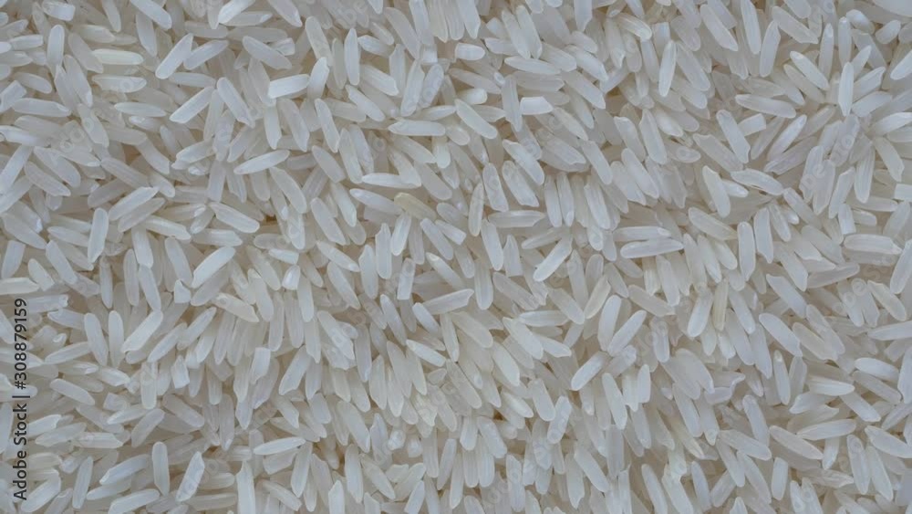 Rice is a grain that the world population consumes as an important food